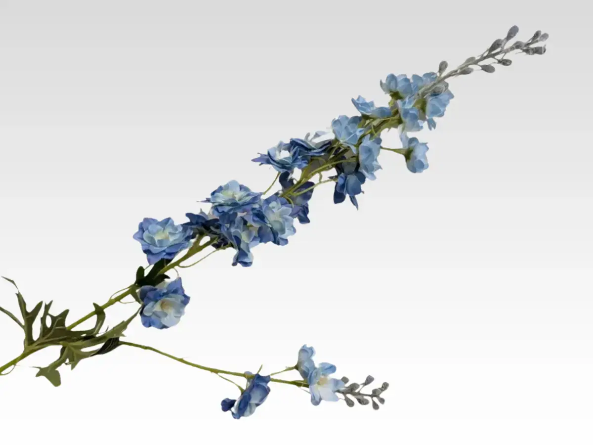 delphinium category pic