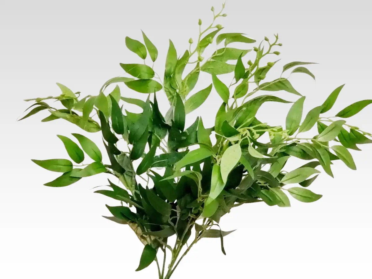 greenery category pic