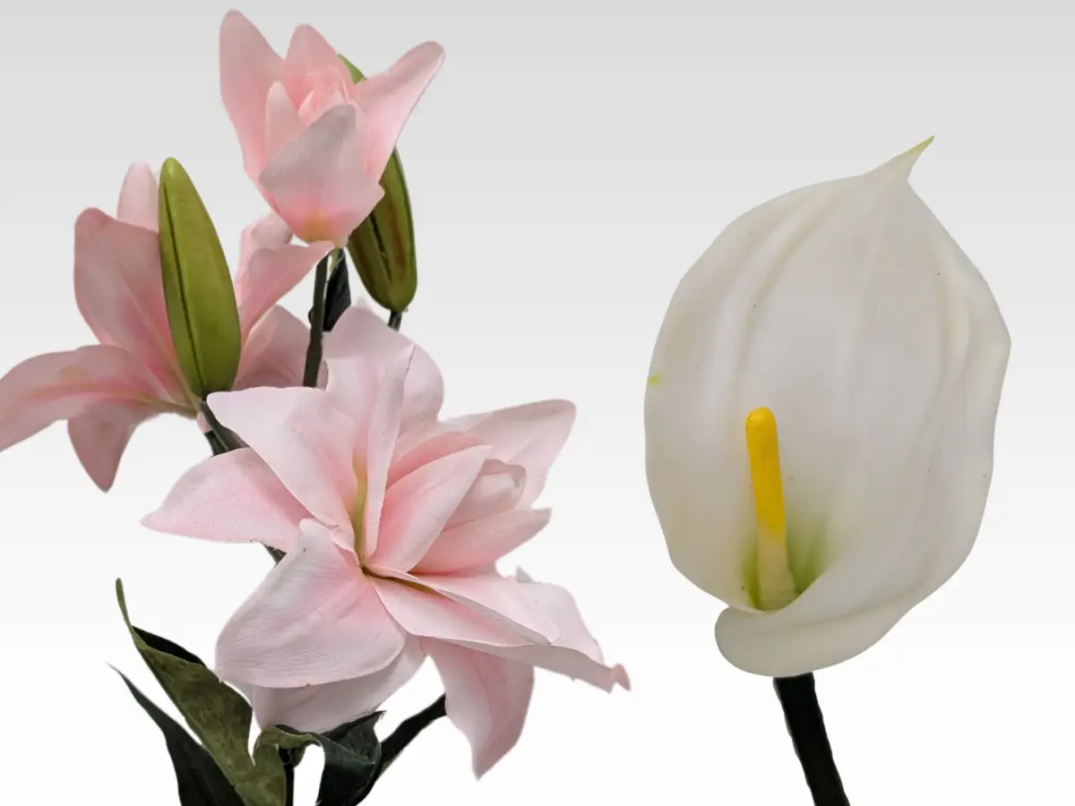 lilies category pic