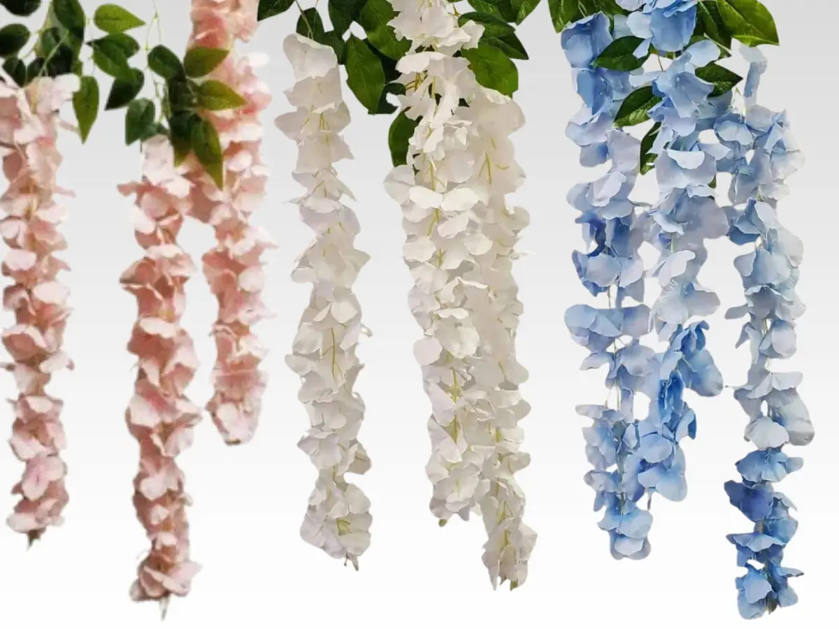 wisteria category pic