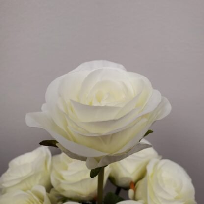 Single Stem Rose Bunch