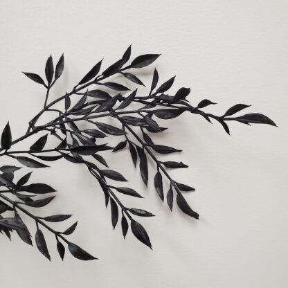 Ruscus Branch