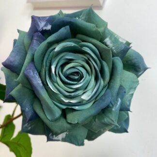 2tone teal open rose