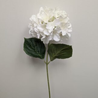 60CM WHITE HYDRANGEA