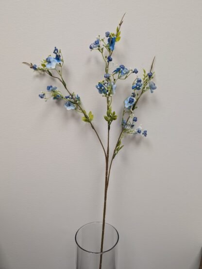 Blue plum blossom