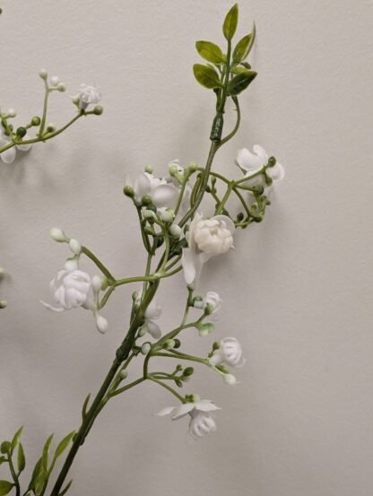 White plum blossom