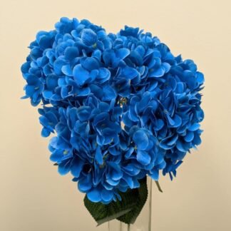 BLUE SP HYDRANGEA