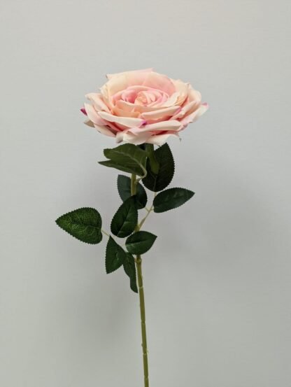 76cm Blush Giant Single Stem Open Rose 1