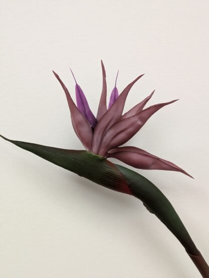 PURPLE BIRD OF PARADISE