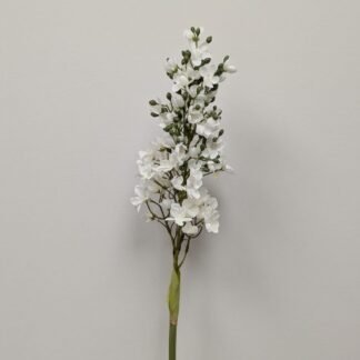 WHITE LILAC