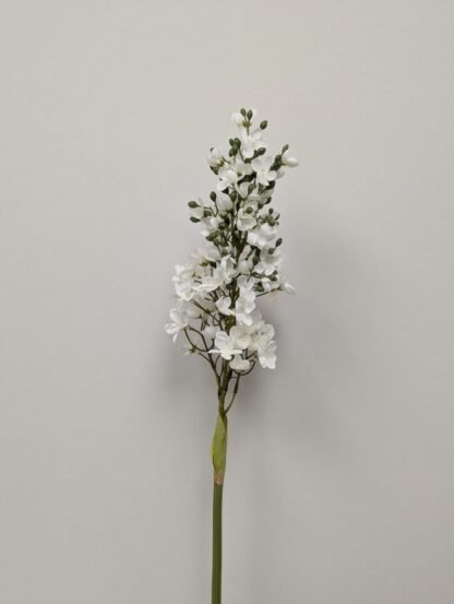 WHITE LILAC