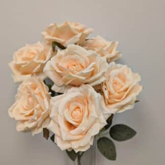 champage diamond rose