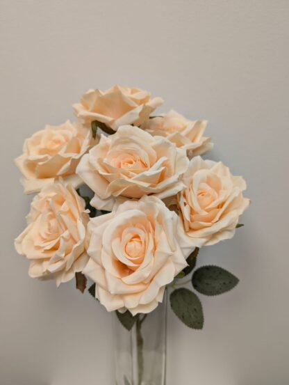 champage diamond rose