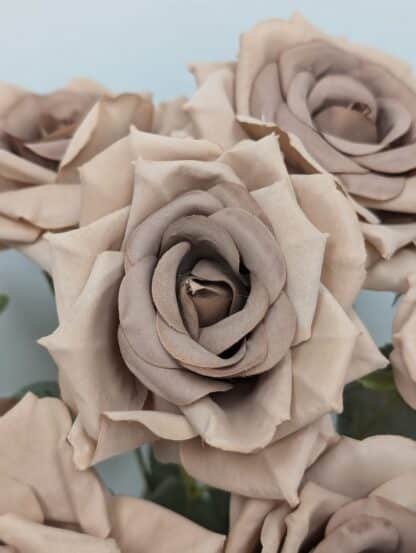 coffee diamond rose