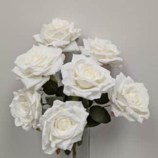 white diamond rose