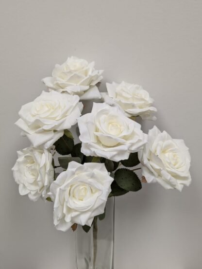 white diamond rose