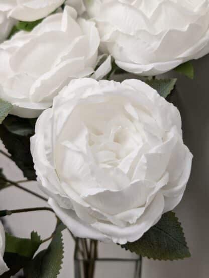 9 Head White Cabbage Rose