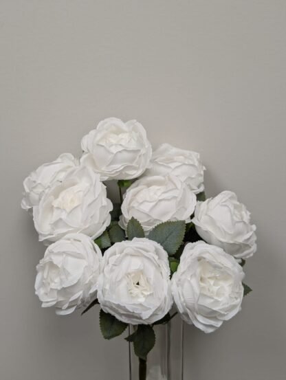 9 Head White Cabbage Rose