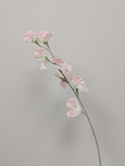 LT PINK SWEET PEA