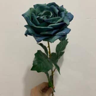 Two tone rose, Giant rose open rose single stem rose