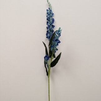 BLUE ONCIDIUM