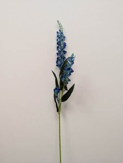 BLUE ONCIDIUM