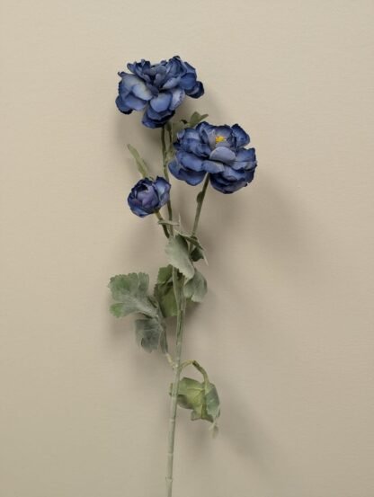 BLUE RANUNCULUS