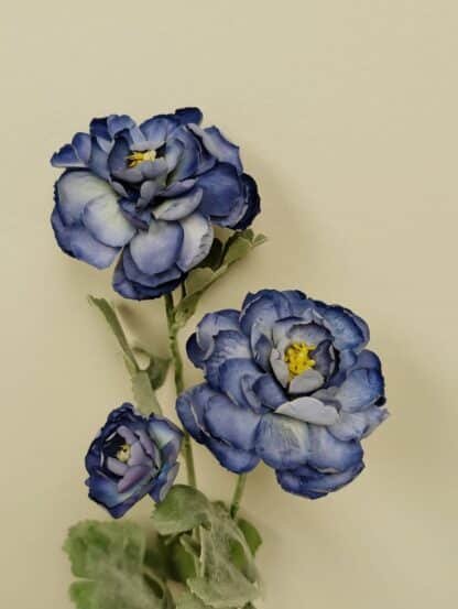 BLUE RANUNCULUS