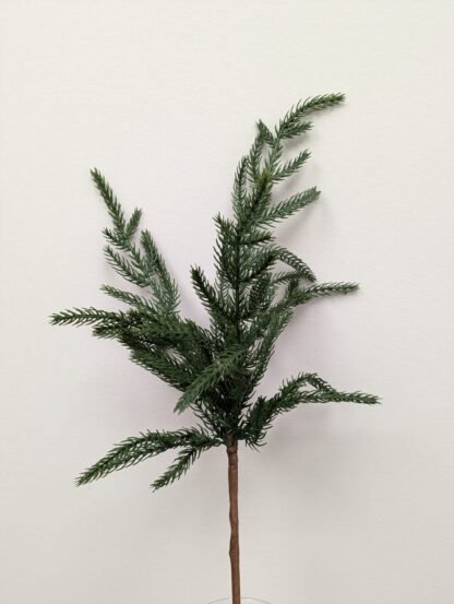 46cm Norfolk Pine Branch