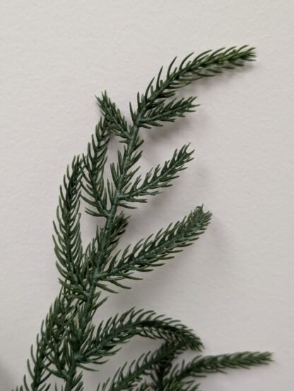 46cm Norfolk Pine Branch - Image 2