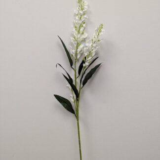 WHITE ONCIDIUM