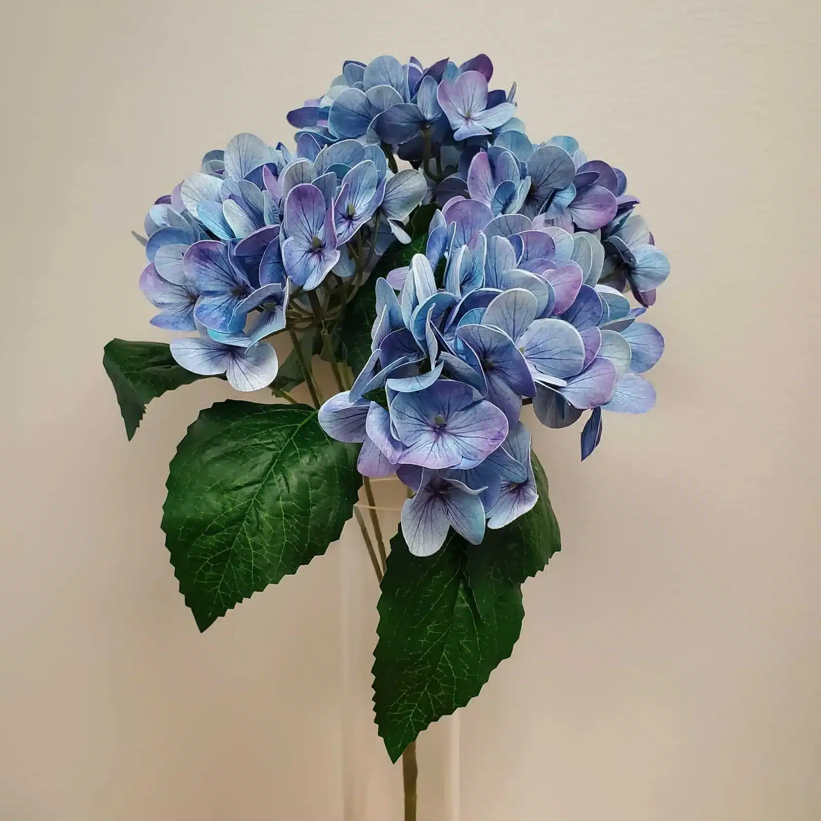 3DHYDRANGEA-BLUE-PURPLE-scaled