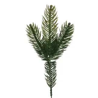 3 Fork Green Pine Branch