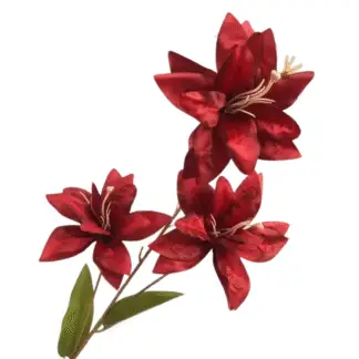 3 Head Burgundy Asiatic Lily