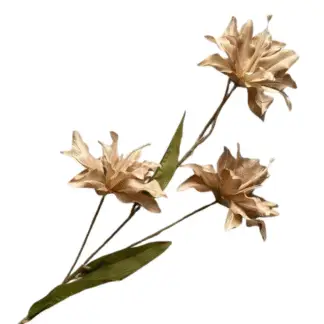 3 Head Taupe Asiatic Lily