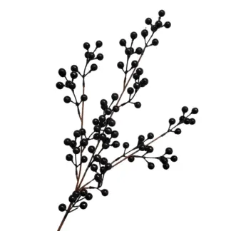 Black Berry Branch