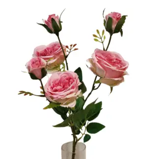 6 Head Pink Cabbage Rose