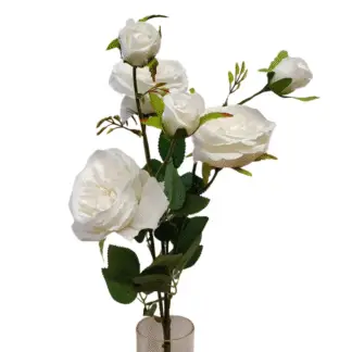 6 Head White Cabbage Rose