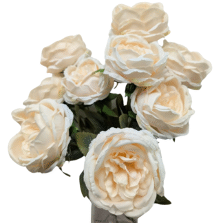 9 Head Ivory Cabbage Rose Bunch