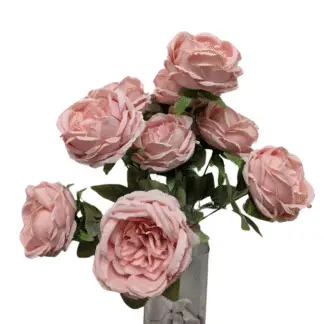 9 Head Pink Cabbage Rose Bunch