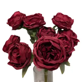 9 Head Burgundy Cabbage Rose Bunch