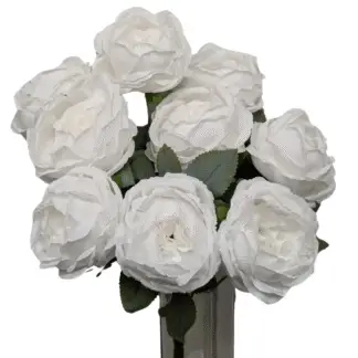 9 Head White Cabbage Rose Bunch