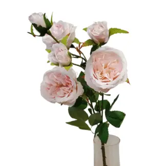 6 Head Blush Pink Cabbage Rose