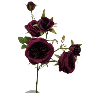 6 Head Burgundy Cabbage Rose