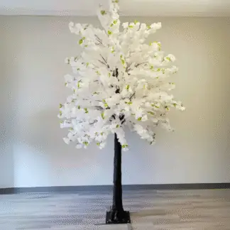 8ft White Cherry Blossom Tree