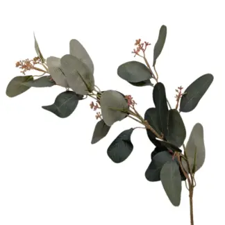 Dark Green Seeded Eucalyptus Branch