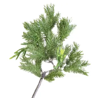 Multi Fork Fir Branch