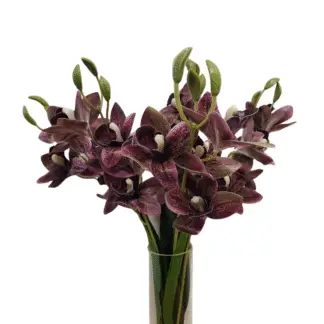 20 Head Purple Orchid Bunch