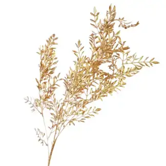 Gold Ruscus Branch