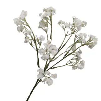 50cm White Gypsum Branch